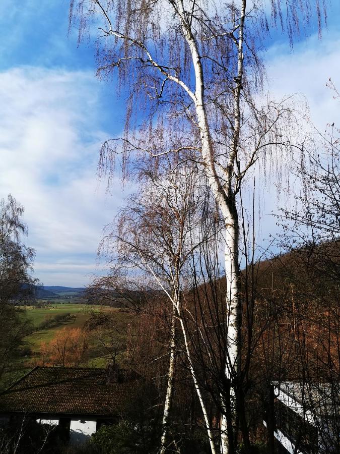 Geraeumige 2-Z Wohnung Im Gruenen, Garten, Terrasse, Ruhig, Natur, Phantastischer Blick! Marburg Kültér fotó