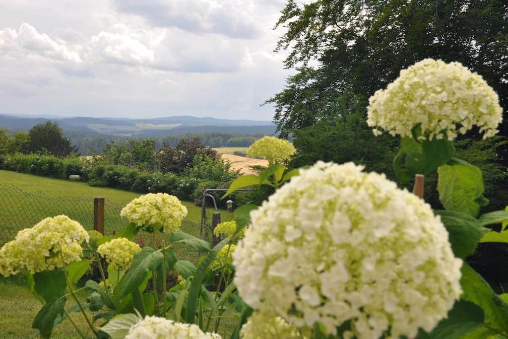 Geraeumige 2-Z Wohnung Im Gruenen, Garten, Terrasse, Ruhig, Natur, Phantastischer Blick! Marburg Kültér fotó