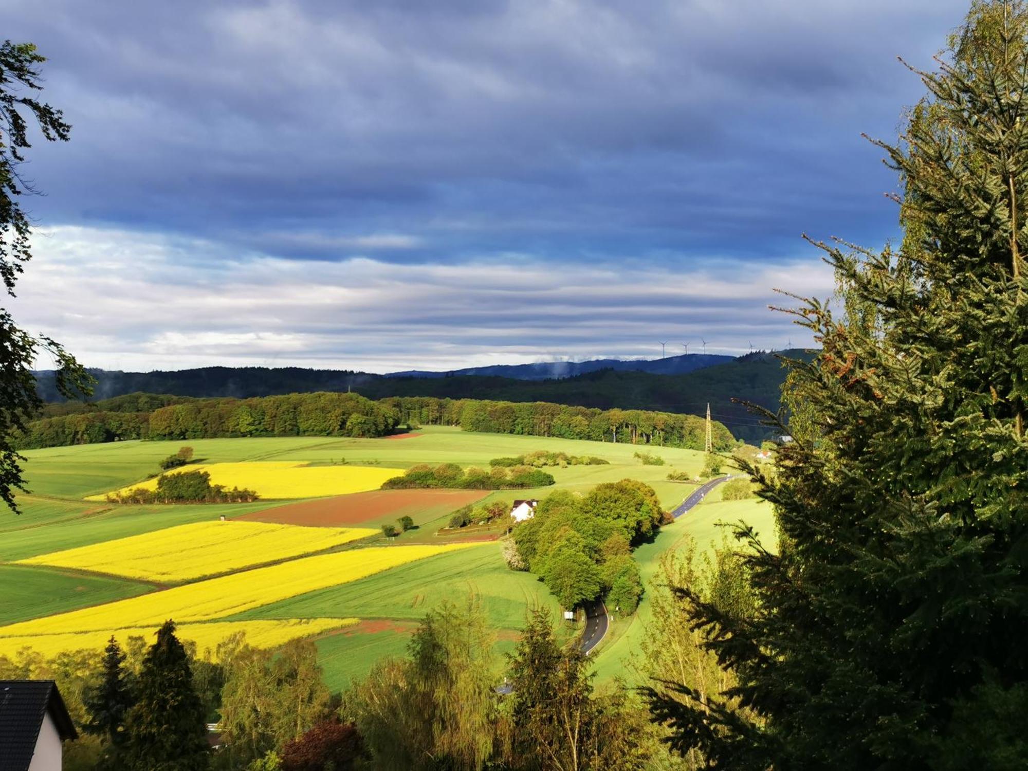 Geraeumige 2-Z Wohnung Im Gruenen, Garten, Terrasse, Ruhig, Natur, Phantastischer Blick! Marburg Kültér fotó